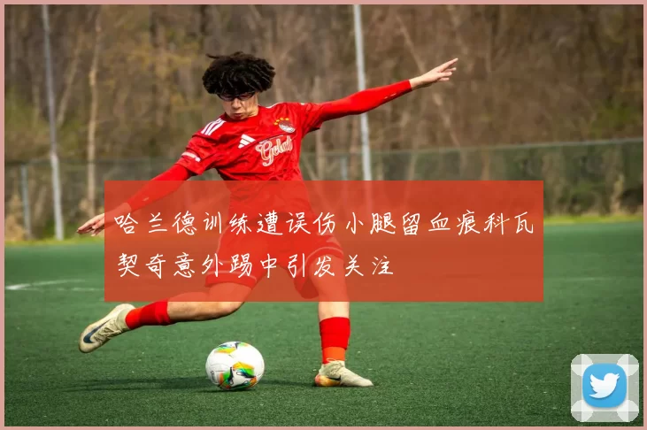 哈兰德训练遭误伤小腿留血痕科瓦契奇意外踢中引发关注